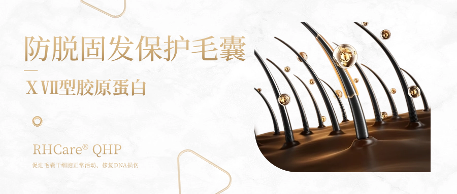 迪諾薇華ⅩⅦ 型膠原蛋白 | 一種可防脫生發(fā)、無“狂脫期”的神奇膠原蛋白